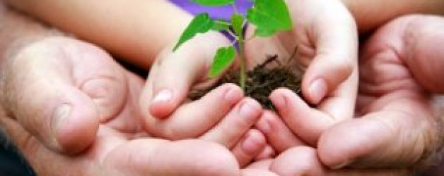 Positive Parenting Course